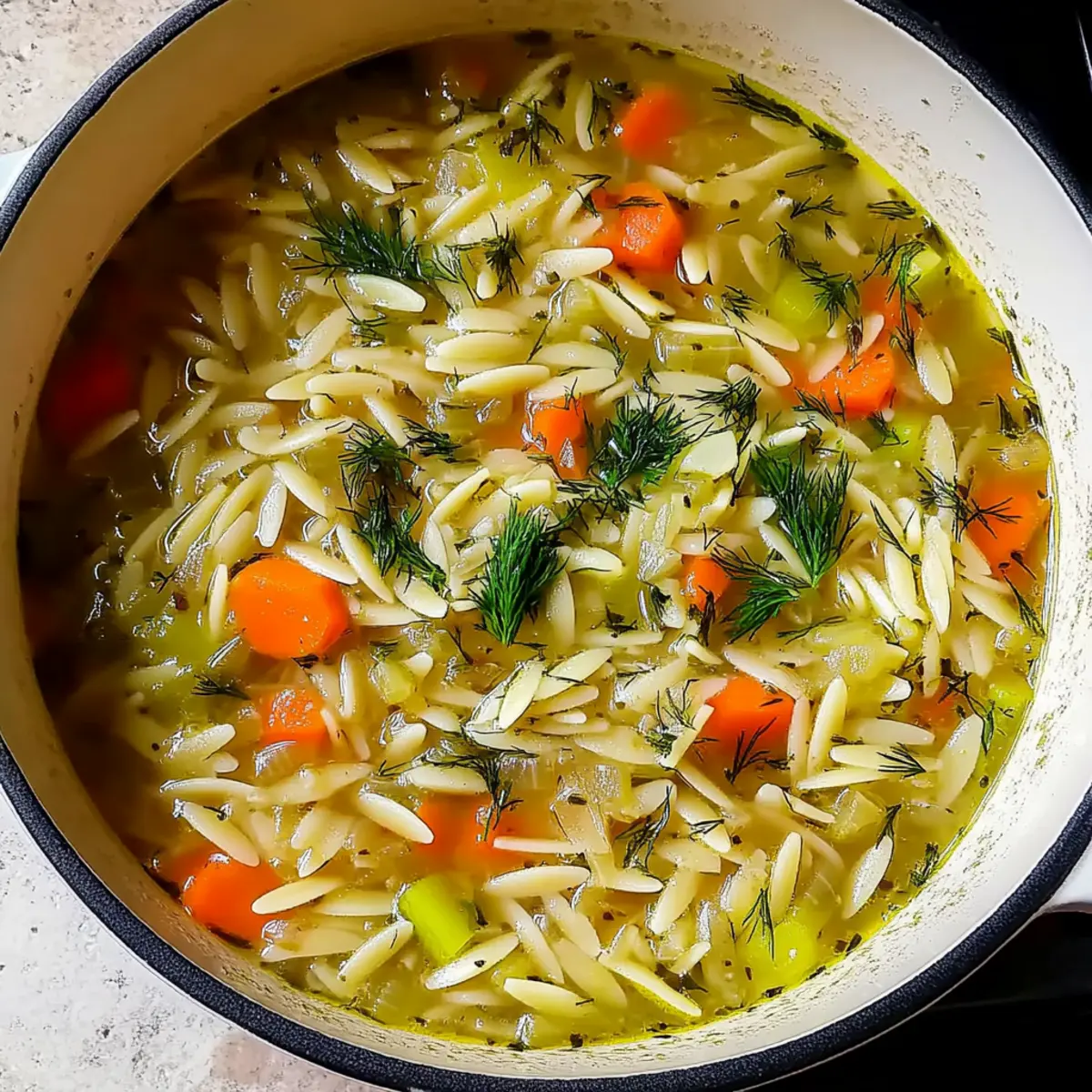 Comforting Orzo, Leek and Dill Soup for Quick Weeknight Bliss